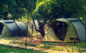 Dandeli Tree House