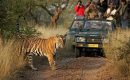 Extraordinary Reasons to Consider Jungle Safari in Dandeli